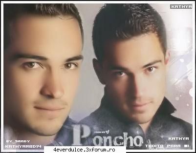 Alfoso - adina_gatitta - Poncho